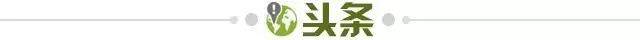 1731368864212050365.jpg 头条.jpg